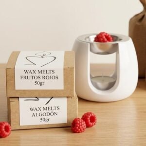 QUEMADORES Y WAX MELTS